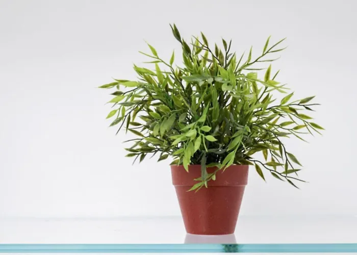 Centre Flats شقة أمالفي